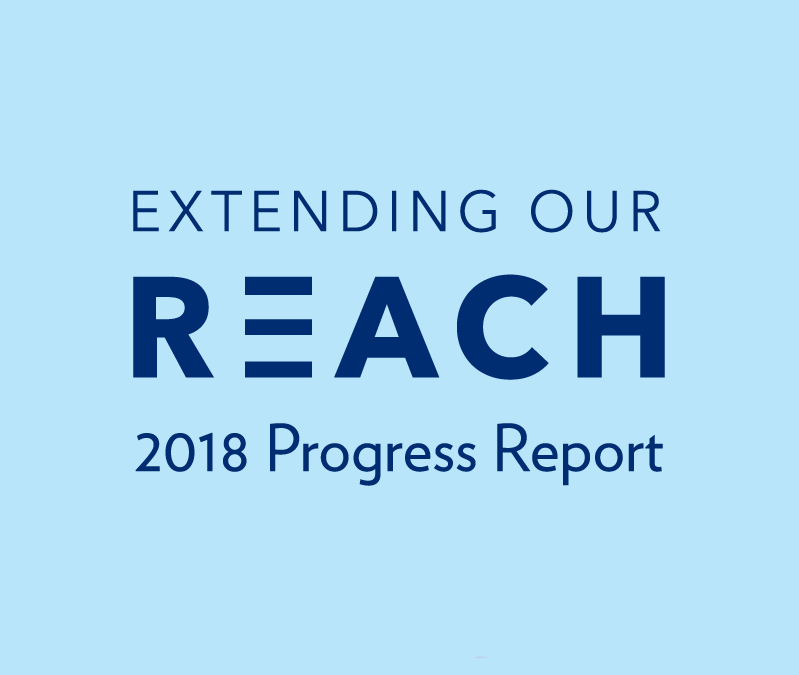 Progress report