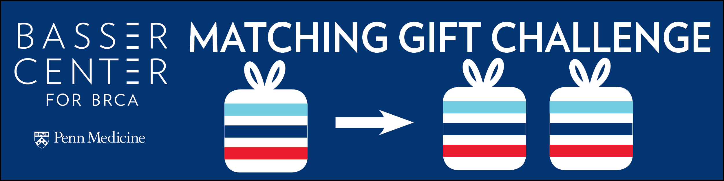 Matching Gift Challenge