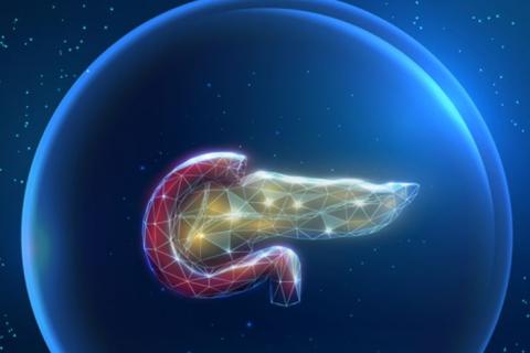 Treating premalignant lesions limited cancer development and improved survival in mice.