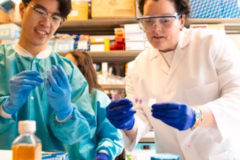 Researchers in the lab